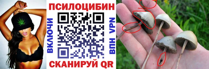 Псилоцибиновые грибы MAGIC MUSHROOMS  Находка 