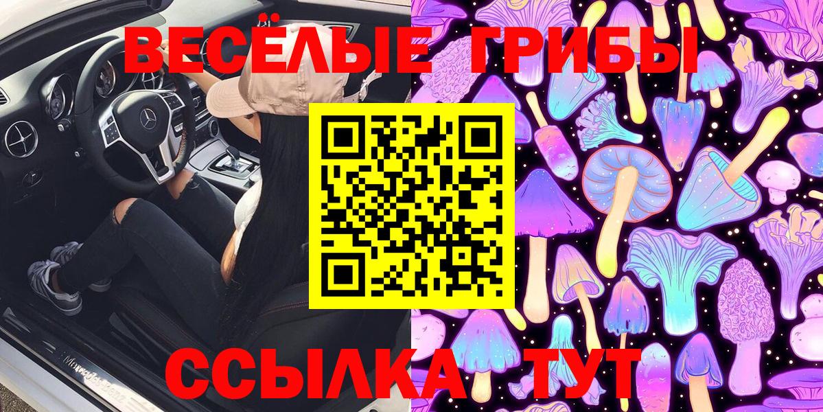 Галлюциногенные грибы ЛСД  Вход с VPN  Находка 